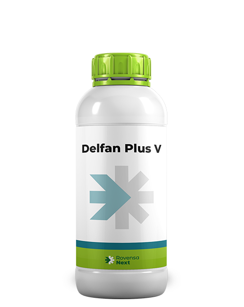 DPV 1L