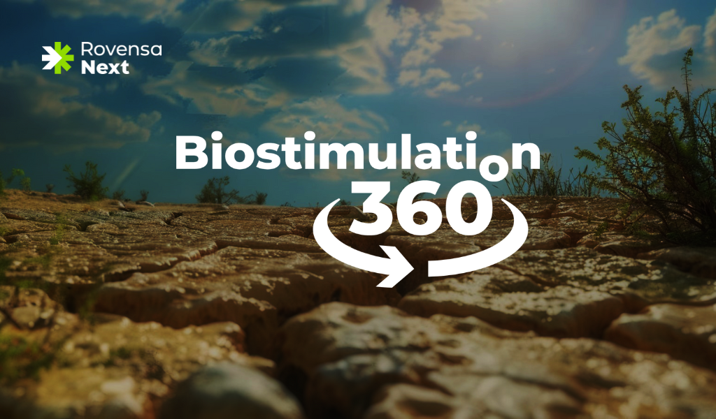 Abiotic stress banner