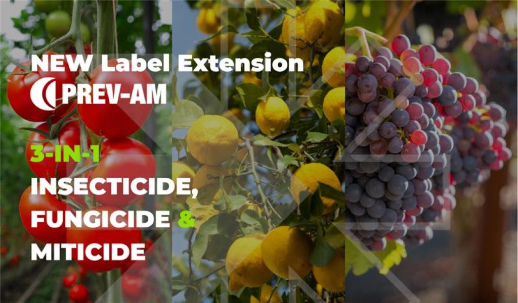 Article banner for website