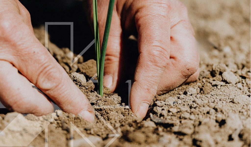 Drought-Blog-r2pnlq5mrrlp15gc14cwkxth550tuavkg6c1r7vd68 (1)